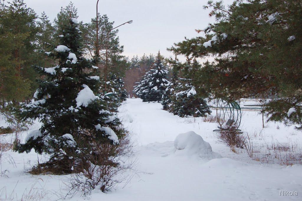 Сєверодонецьк з panoramio.com (ч.3) - Северодонецк