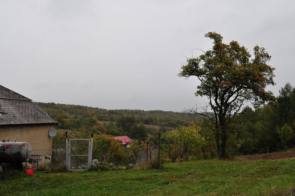 Завосина з panoramio.com (ч.2) - Завосина