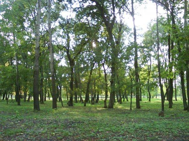 Нові Санжари з panoramio.com - Новые Санжары