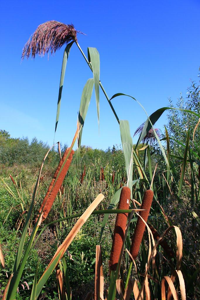 Озера з panoramio.com - Озера