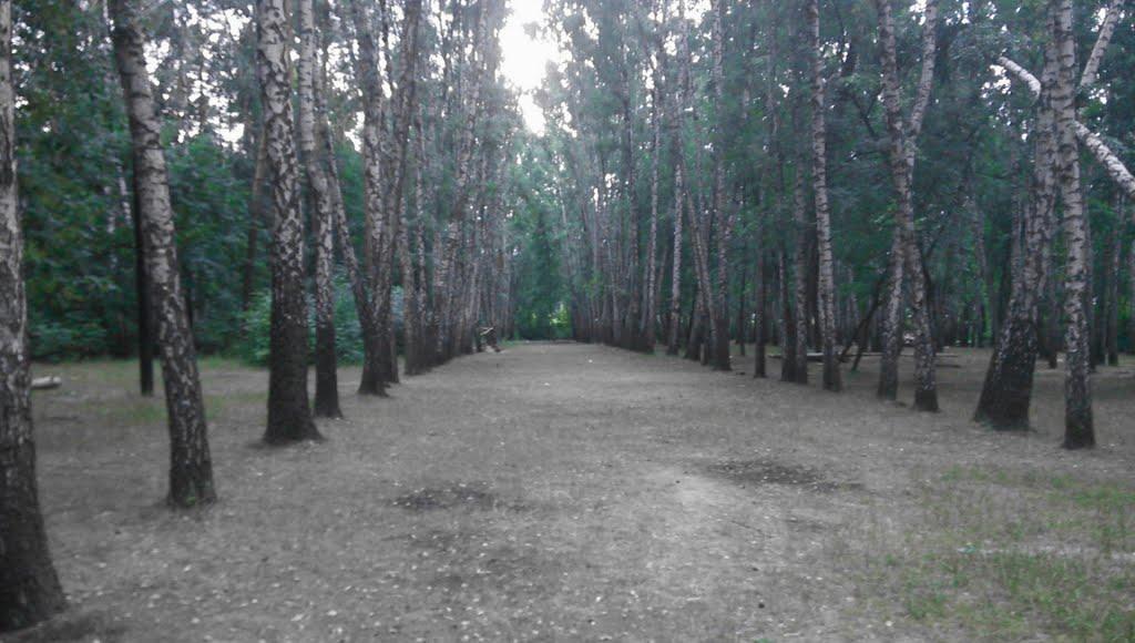 Софіївська Борщагівка з panoramio.com (ч.2) - Софиевская Борщаговка