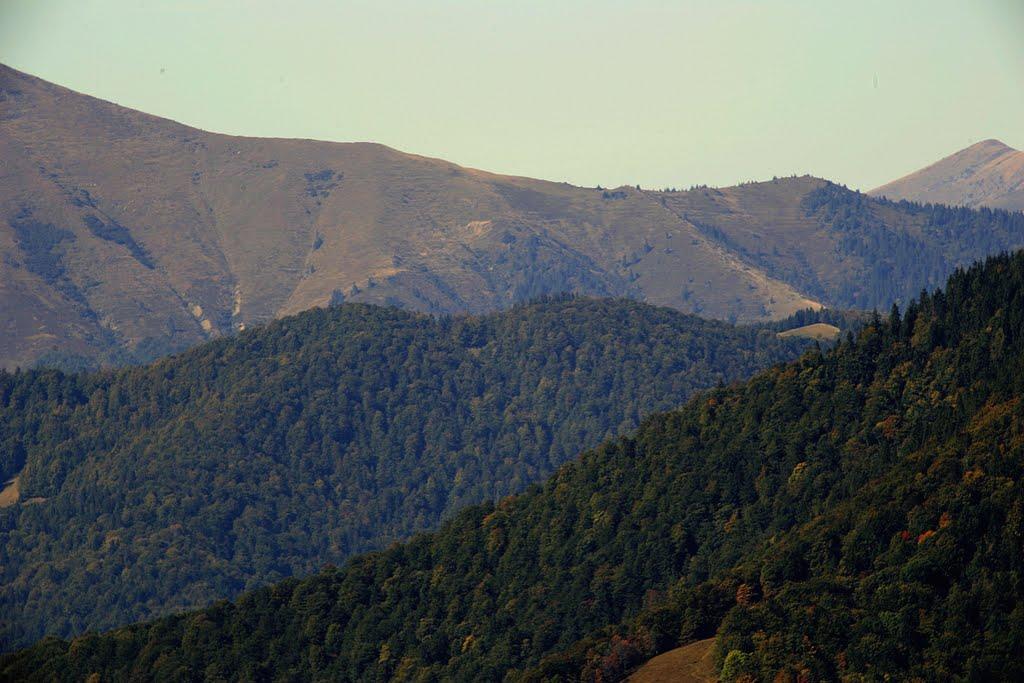 Лопухів з panoramio.com - Лопухов