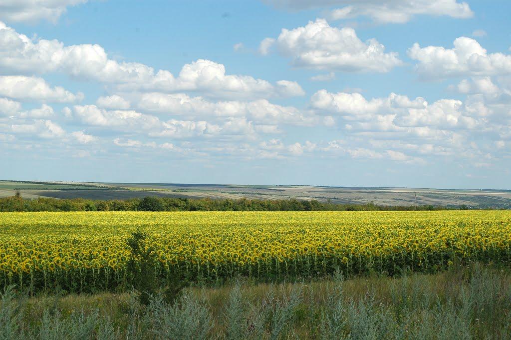 Мар'ївка з panoramio.com - Maryivka