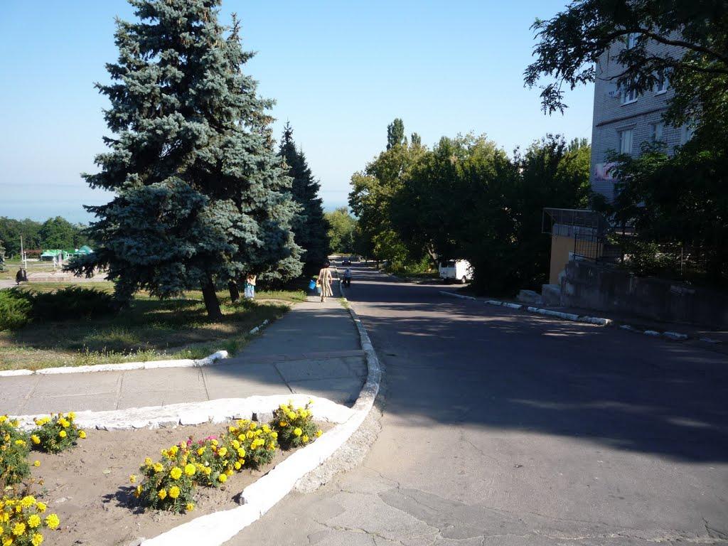 Світловодськ з panoramio.com (ч.2) - Светловодск
