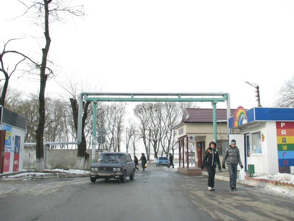 Нова Дофінівка з panoramio.com - Нова Дофінівка