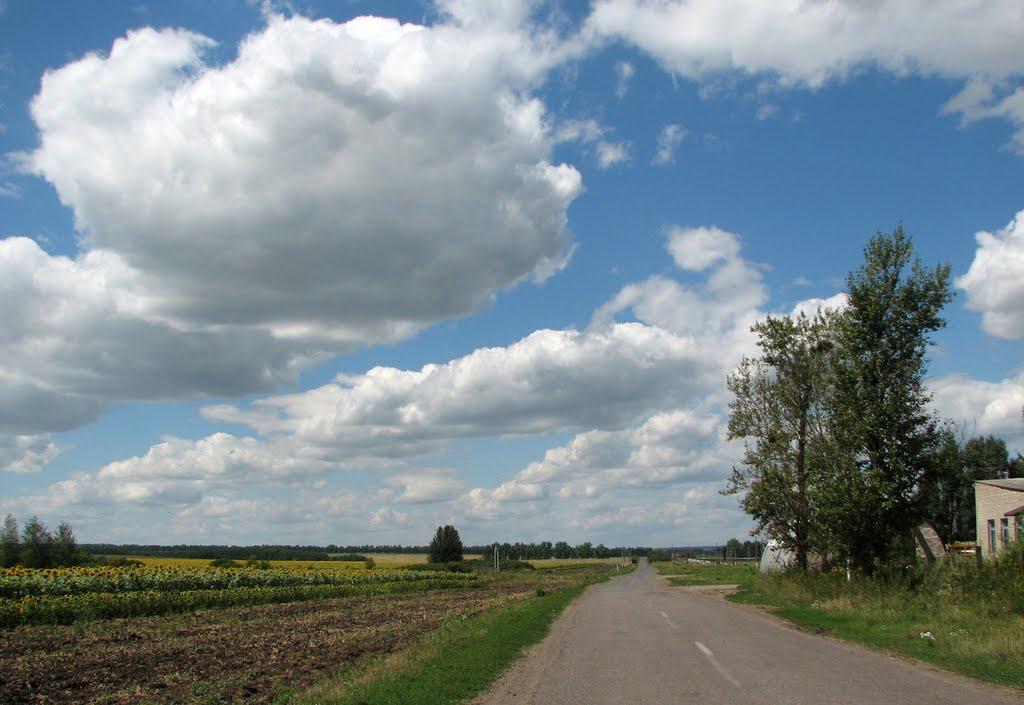 Бірки з panoramio.com - Борки