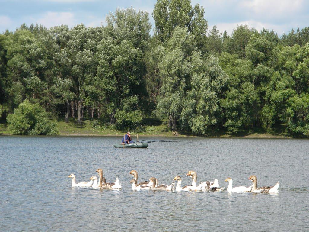 Землянка з panoramio.com - Землянка