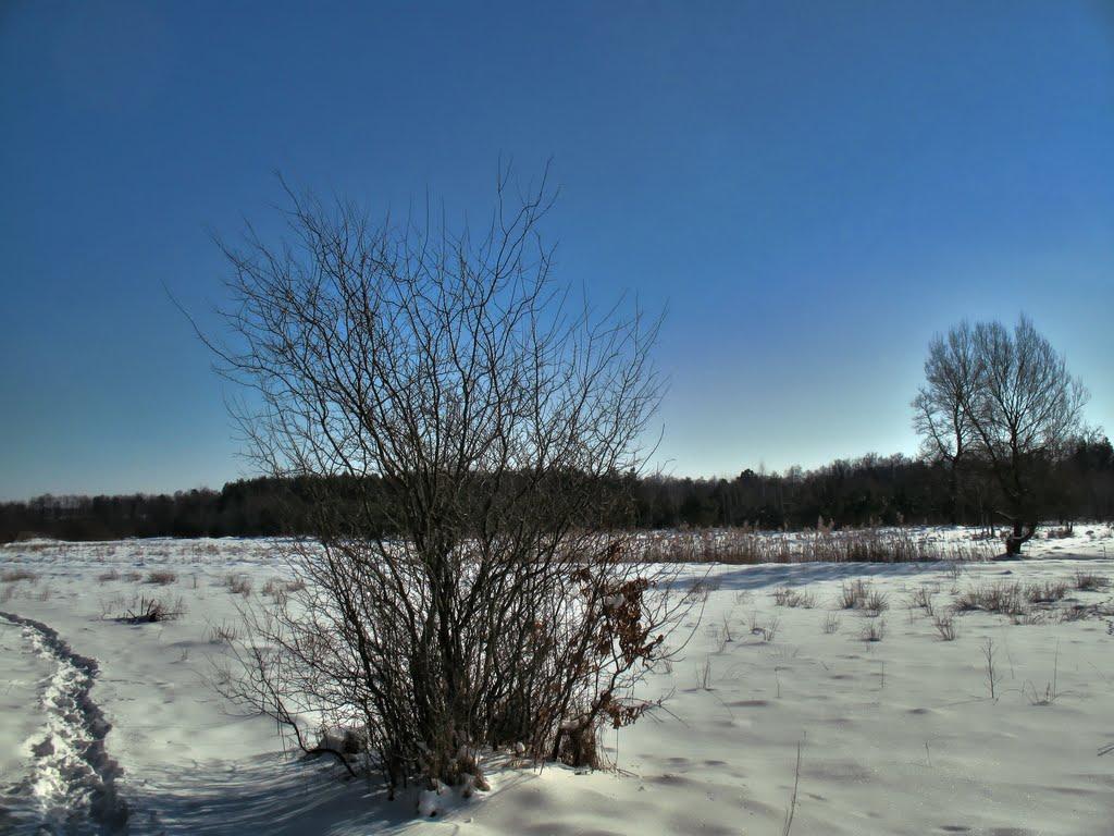 Ківерці з panoramio.com - Ківерці