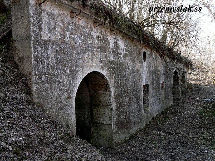 Нижанковичі з panoramio.com (ч.2) - Нижанковичи