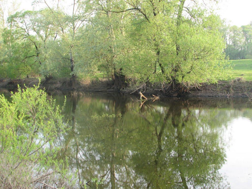 Дюксин з panoramio.com - Дюксин