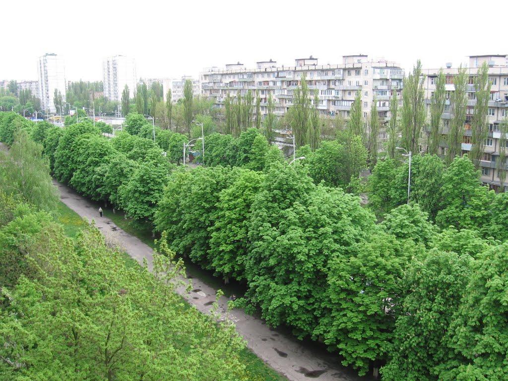 Софіївська Борщагівка з panoramio.com (ч.2) - Софиевская Борщаговка