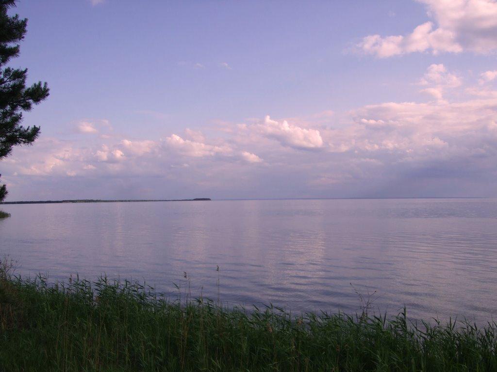 Ровжі з panoramio.com - Ровжи