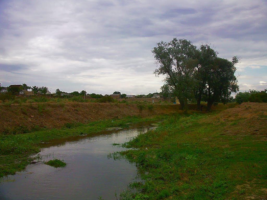 Шевченкове з panoramio.com - Шевченково