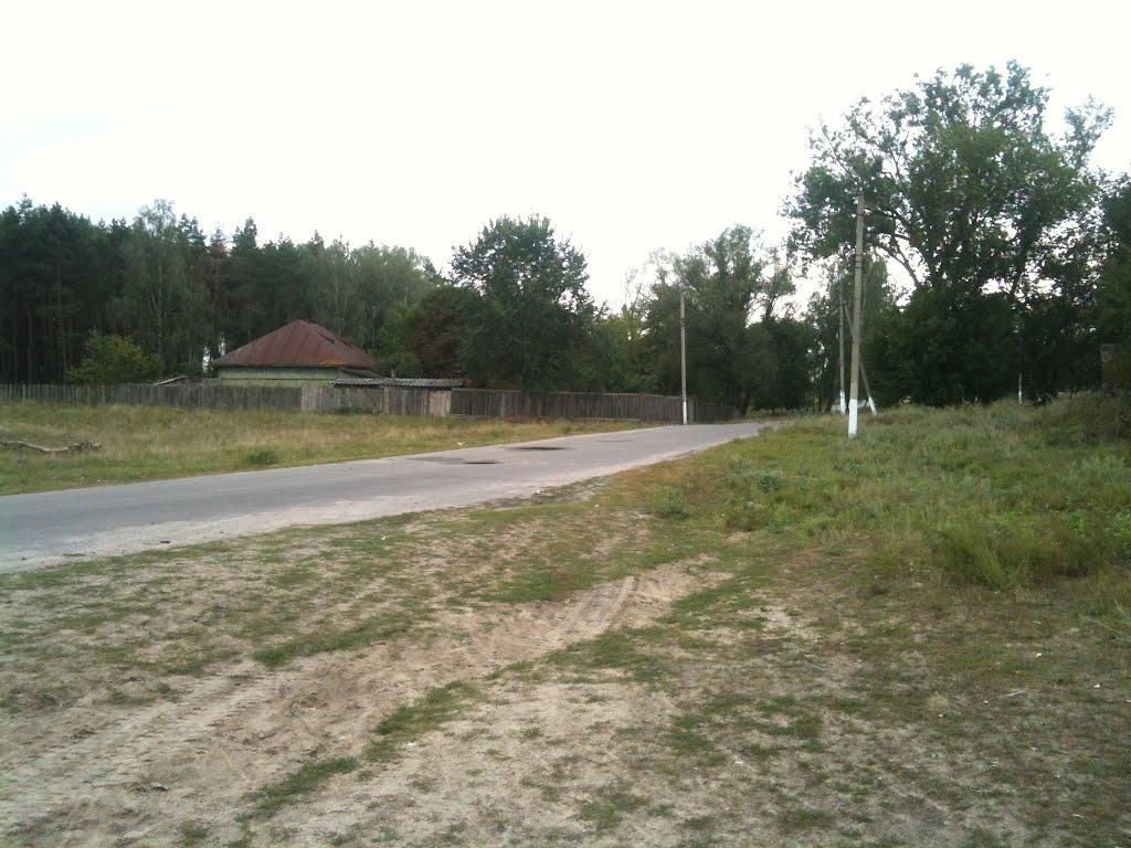 Любитове з panoramio.com - Любитово