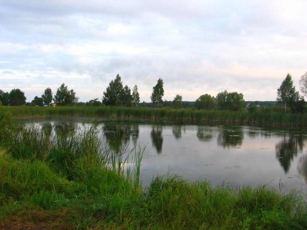 Хомівка з panoramio.com - Хомівка