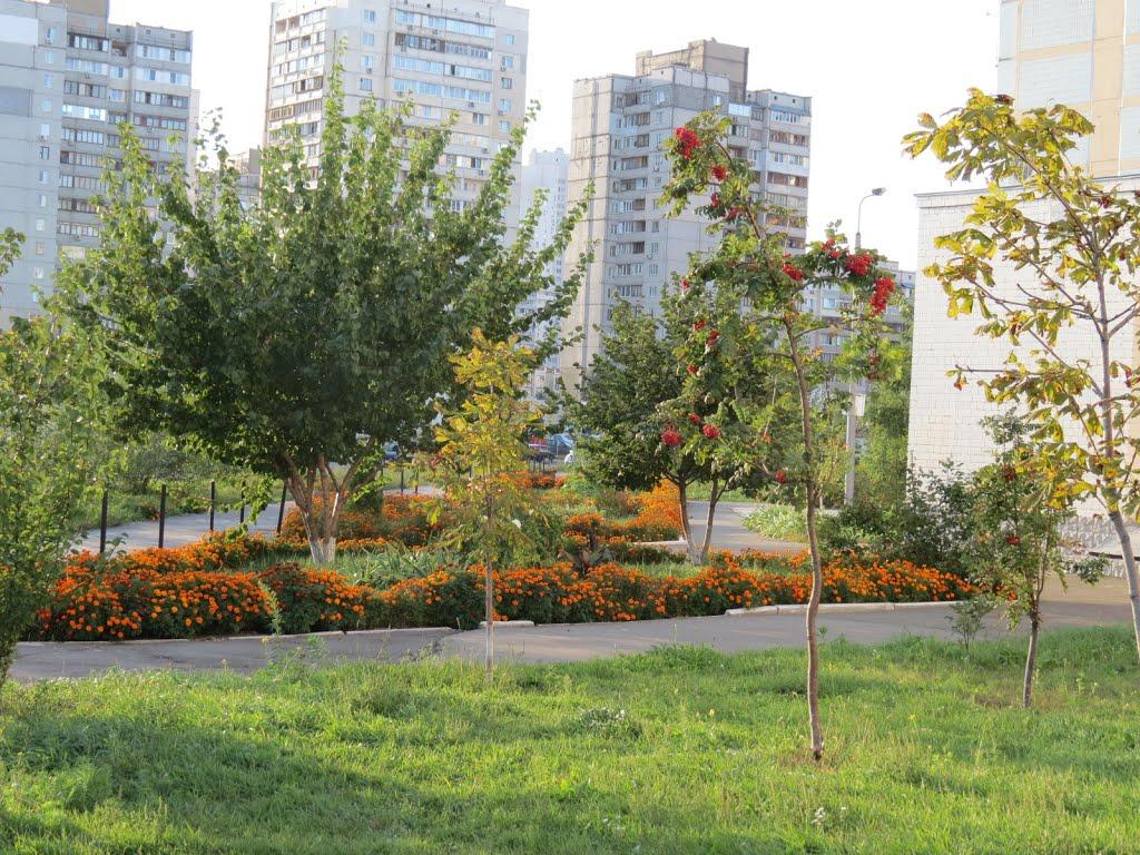 Гнідин з panoramio.com (ч.3) - Gnidyn