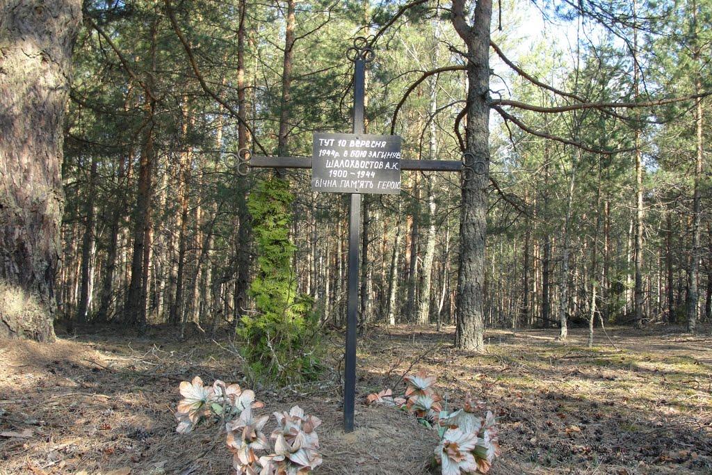 Троянівка з panoramio.com - Троянівка