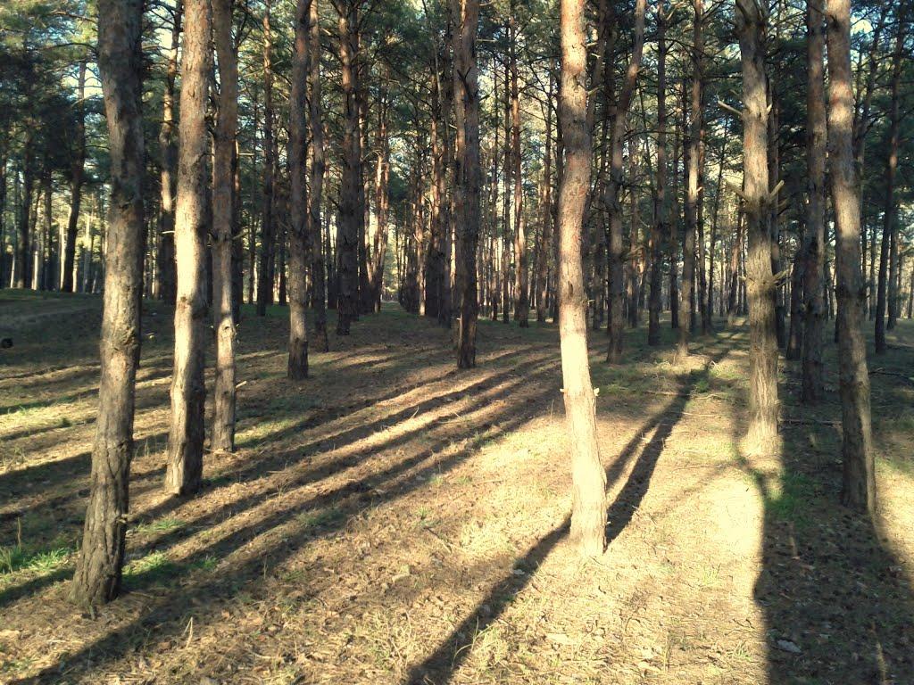 Мішково-Погорілове з panoramio.com - Мішково-Погорілове