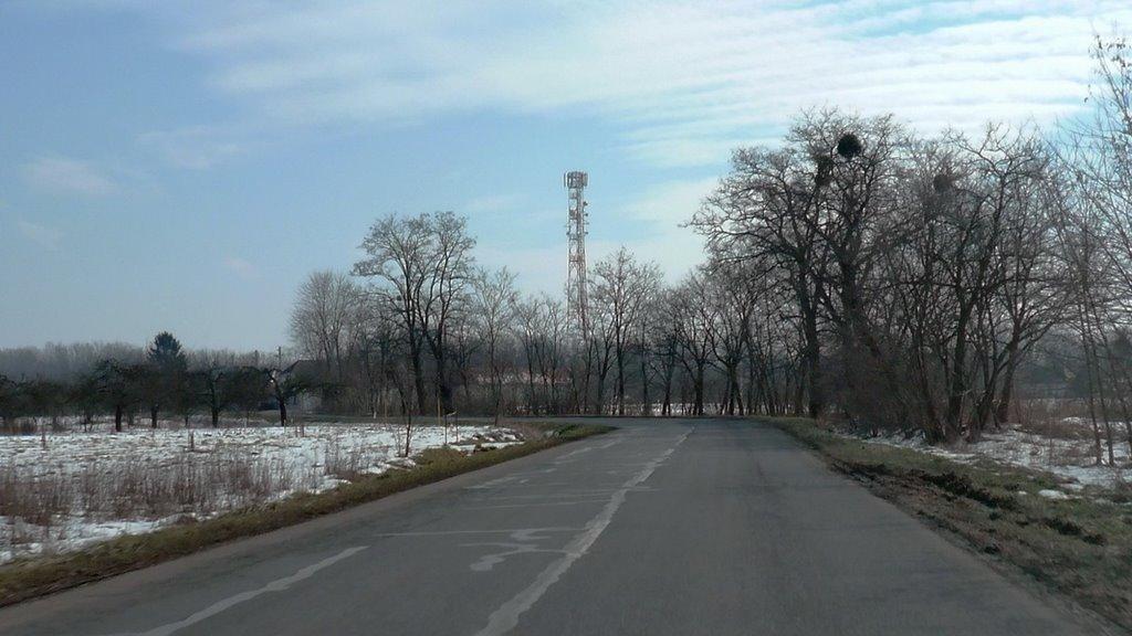 Астей з panoramio.com - Астей