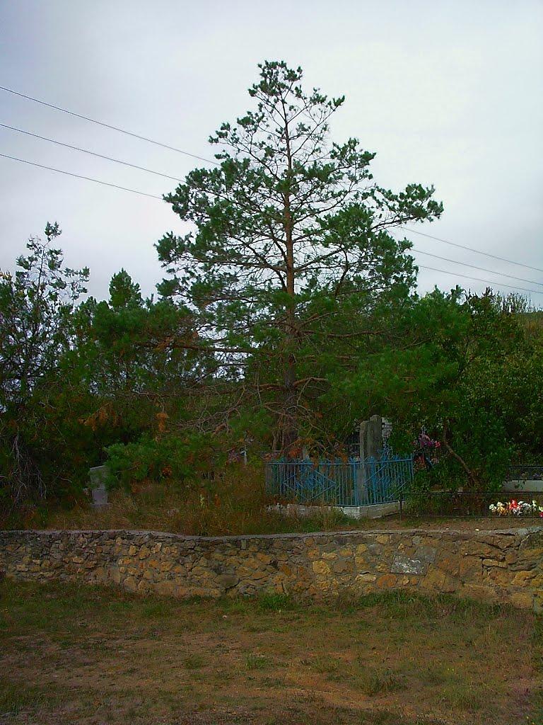 Верхоріччя з panoramio.com - Верхоречье