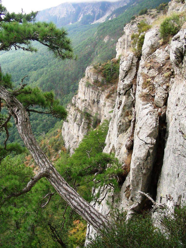 Виноградне з panoramio.com - Виноградное
