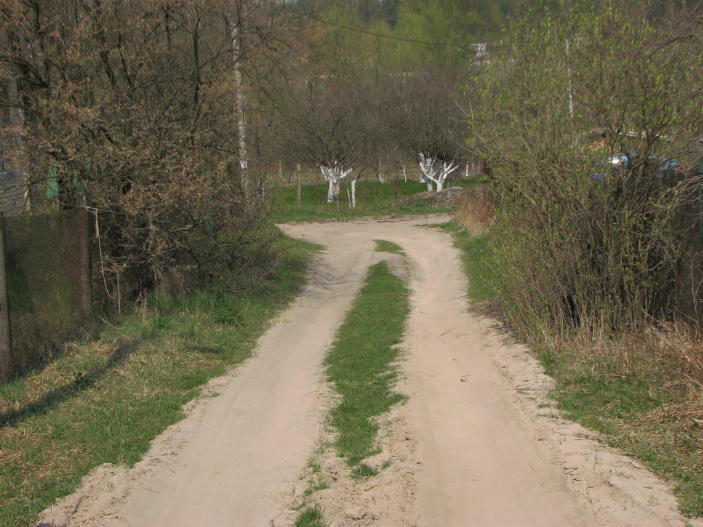 Кожухівка з panoramio.com - Кожухівка