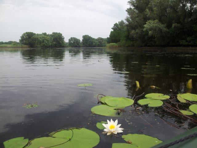 Самусіївка з panoramio.com - Самусіївка