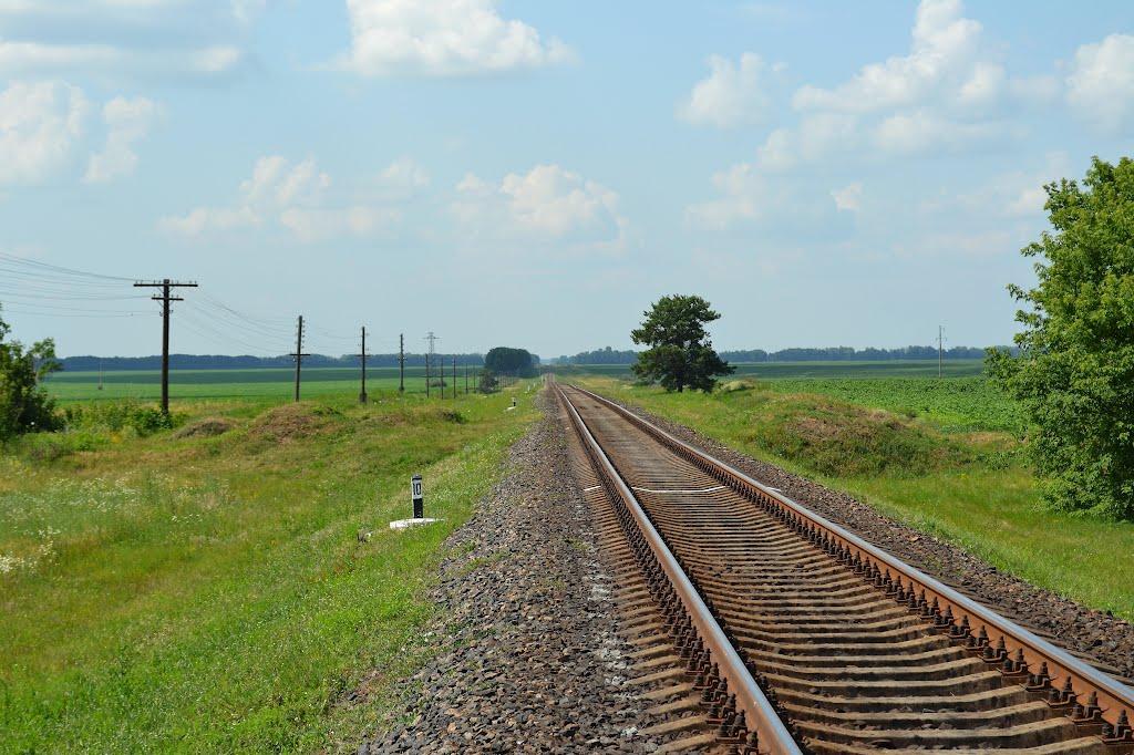 Мала Дівиця з panoramio.com - Мала Дівиця