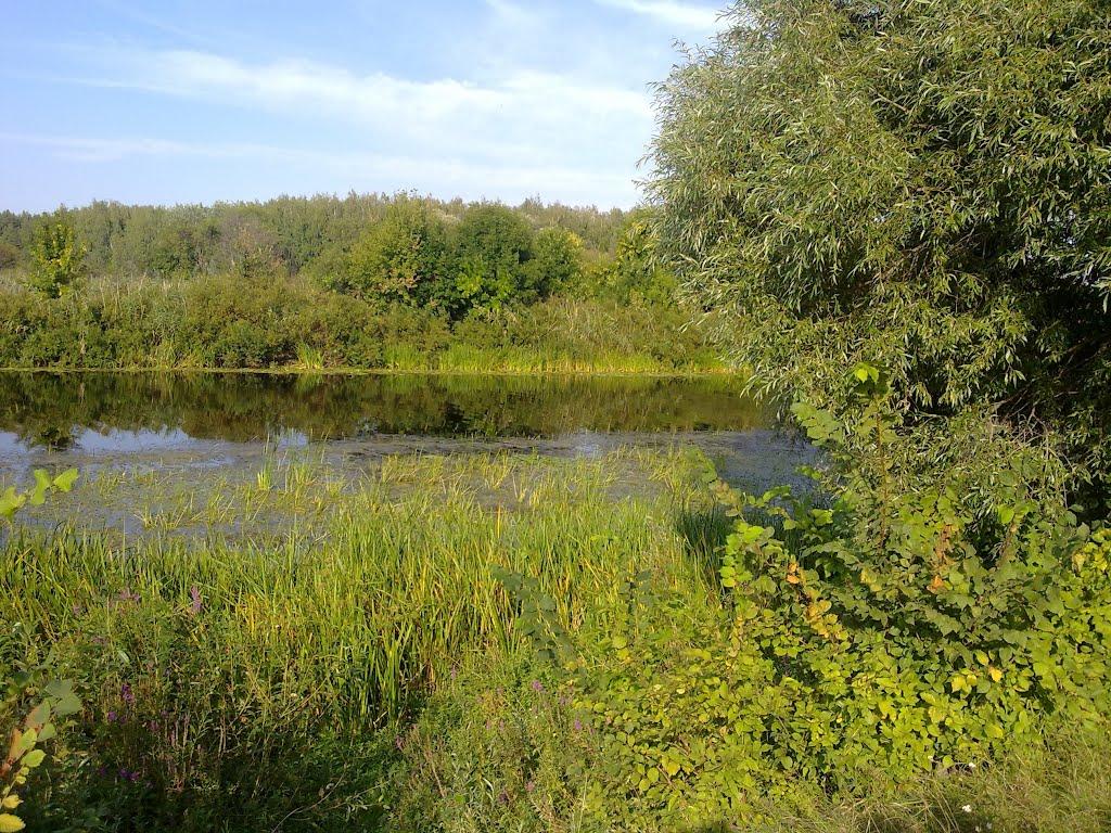 Тарасівка з panoramio.com - Тарасівка