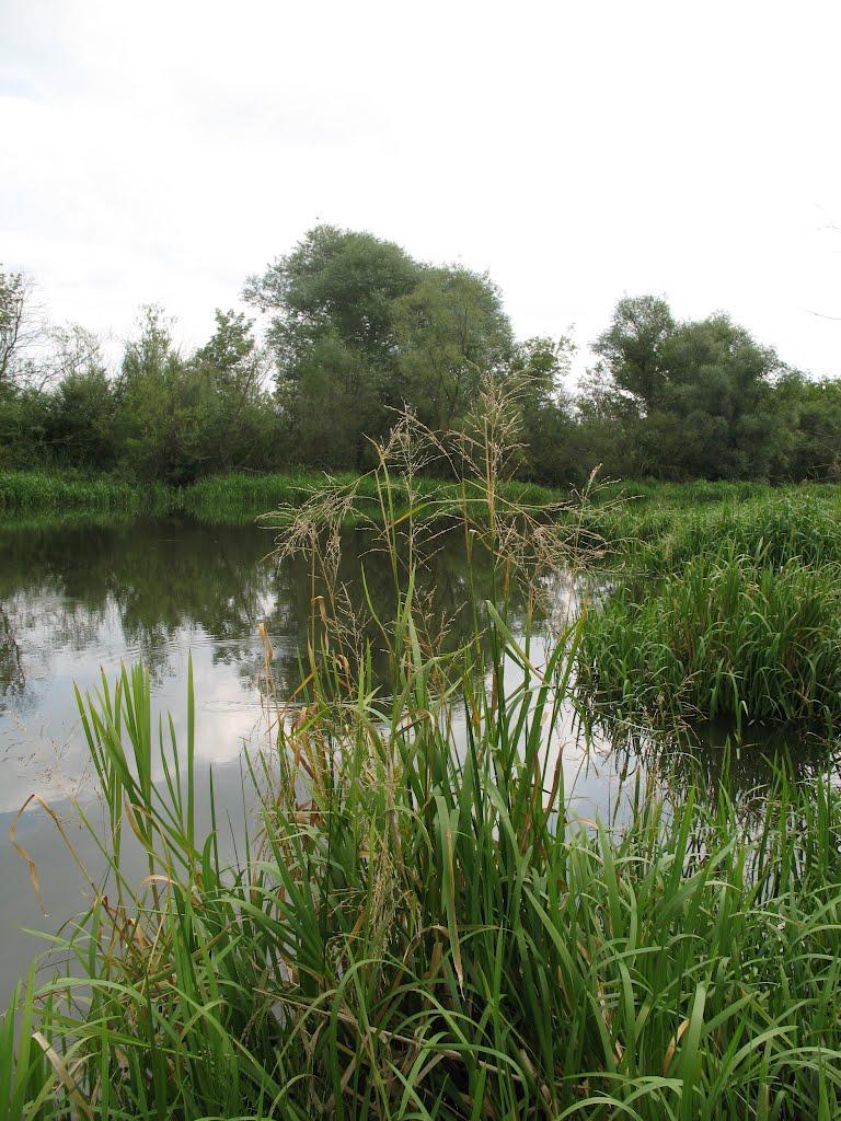 Будилів з panoramio.com - Будилів