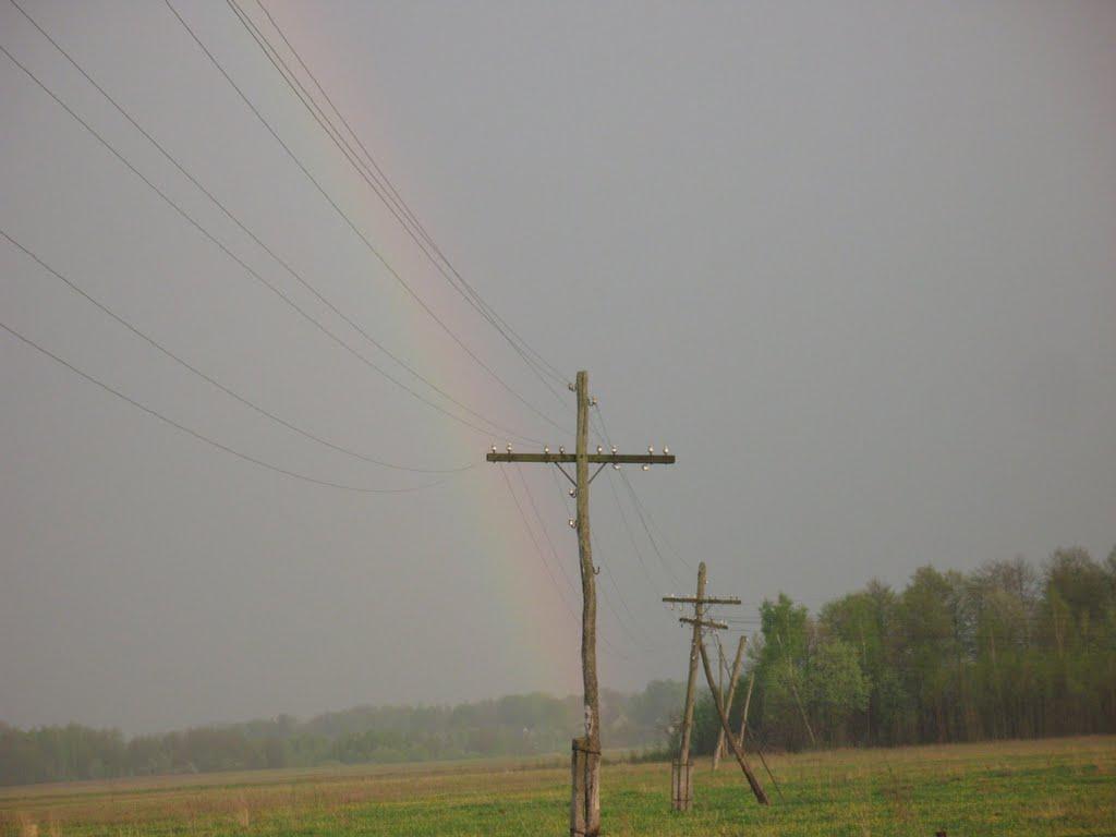 Курганці з panoramio.com - Курганцы