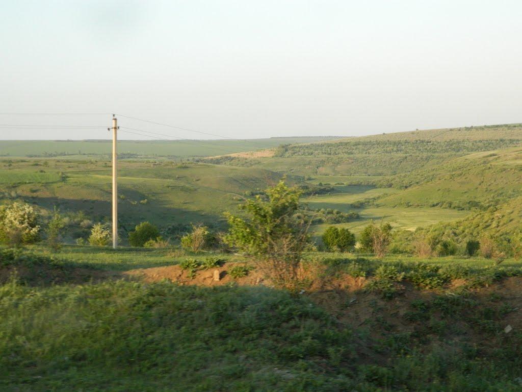 Дубове з panoramio.com - Дубове