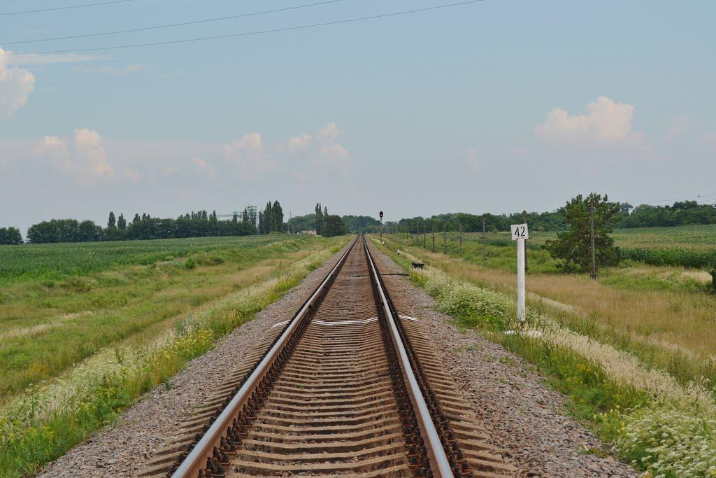 Велика Дівиця з panoramio.com - Велика Дівиця