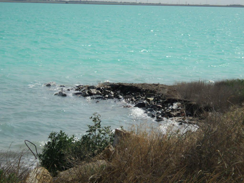 Пролетарка з panoramio.com - Пролетарка