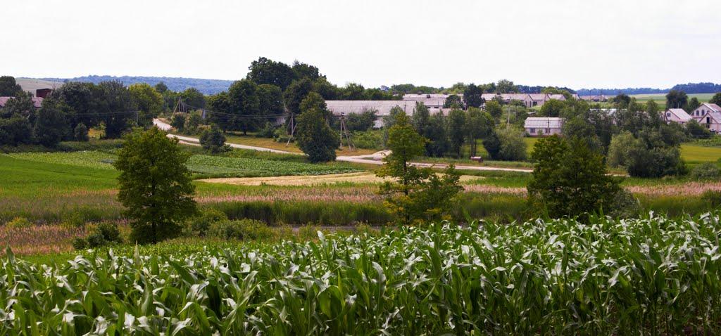 Верхівське з panoramio.com - Верхівське