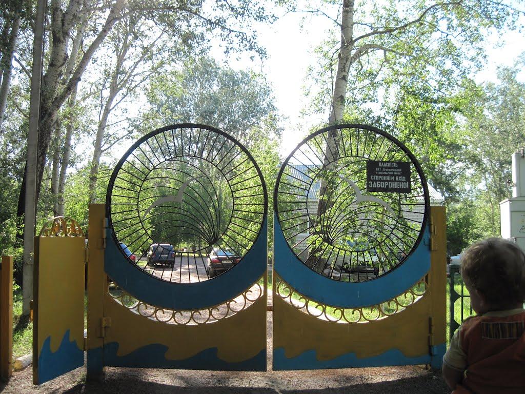 Омельник з panoramio.com - Омельник