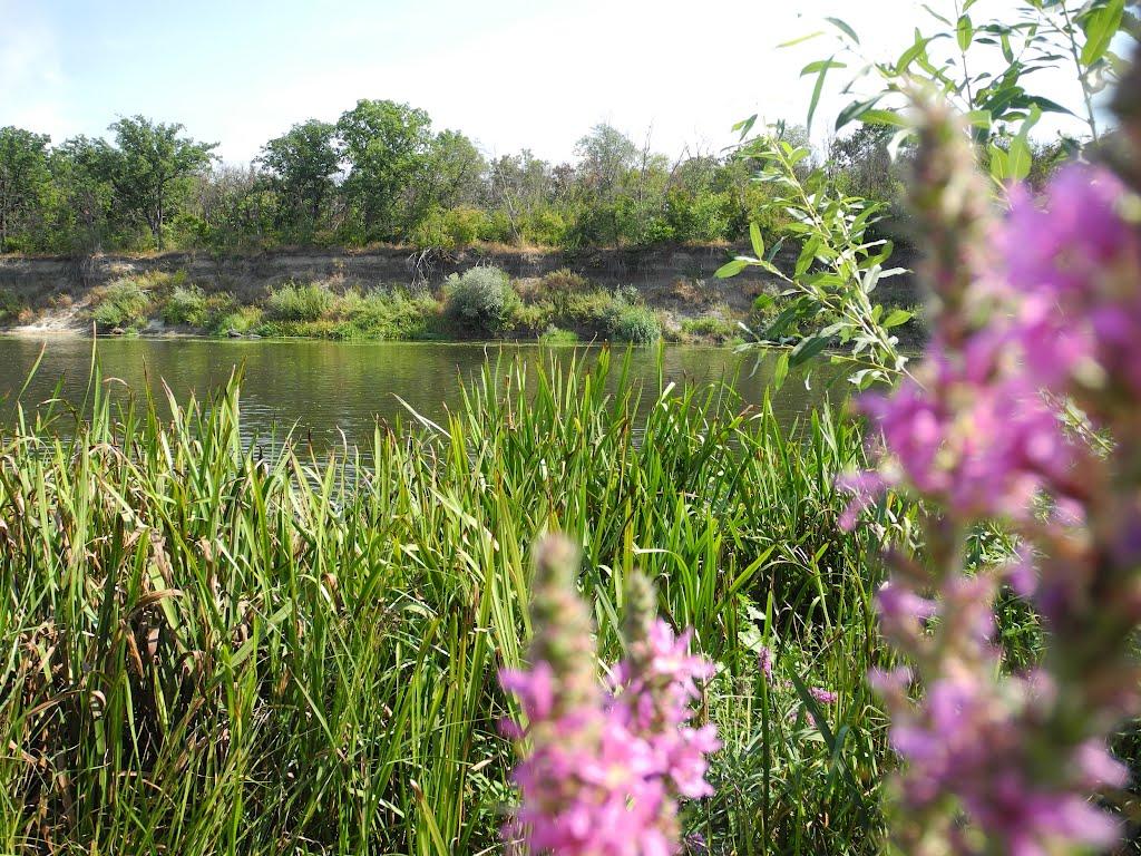 Пархоменко з panoramio.com - Пархоменко