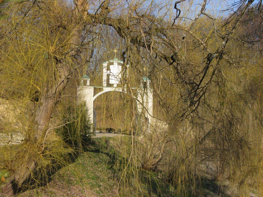 Підгірці з panoramio.com - Подгорцы