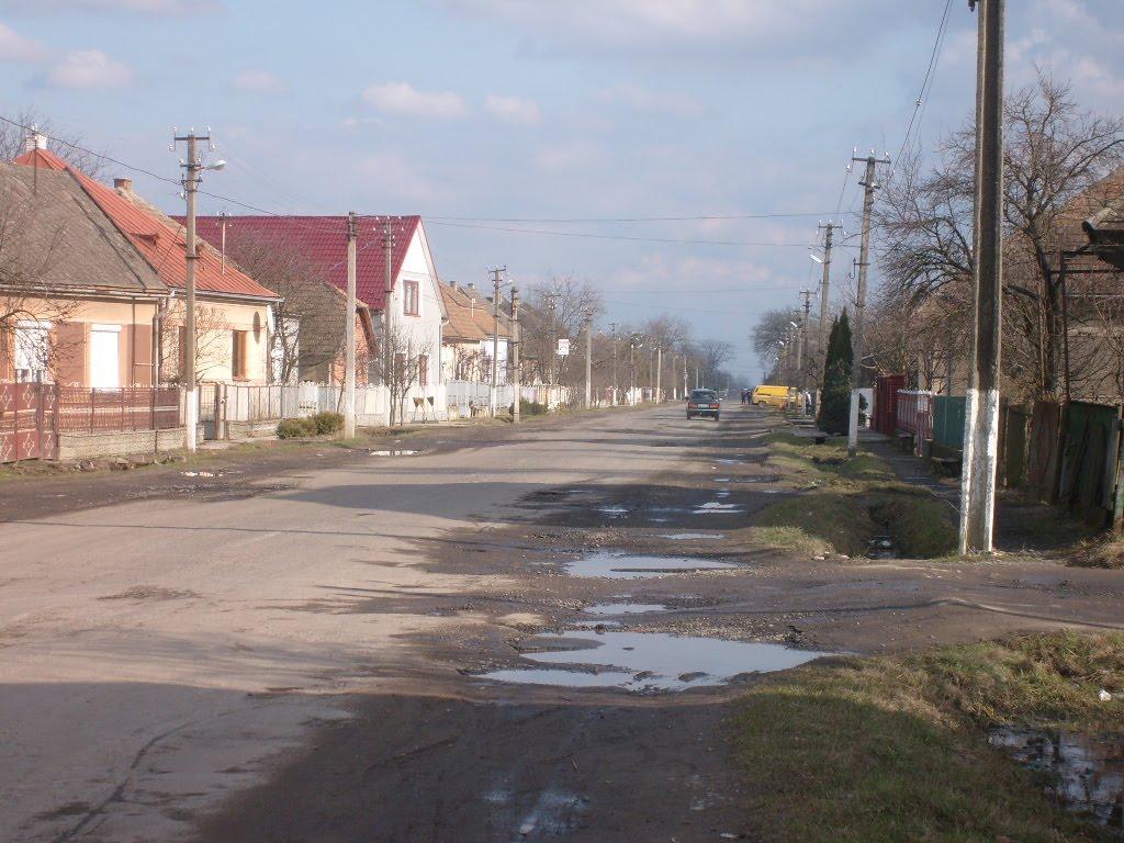 Велика Добронь з panoramio.com - Велика Добронь