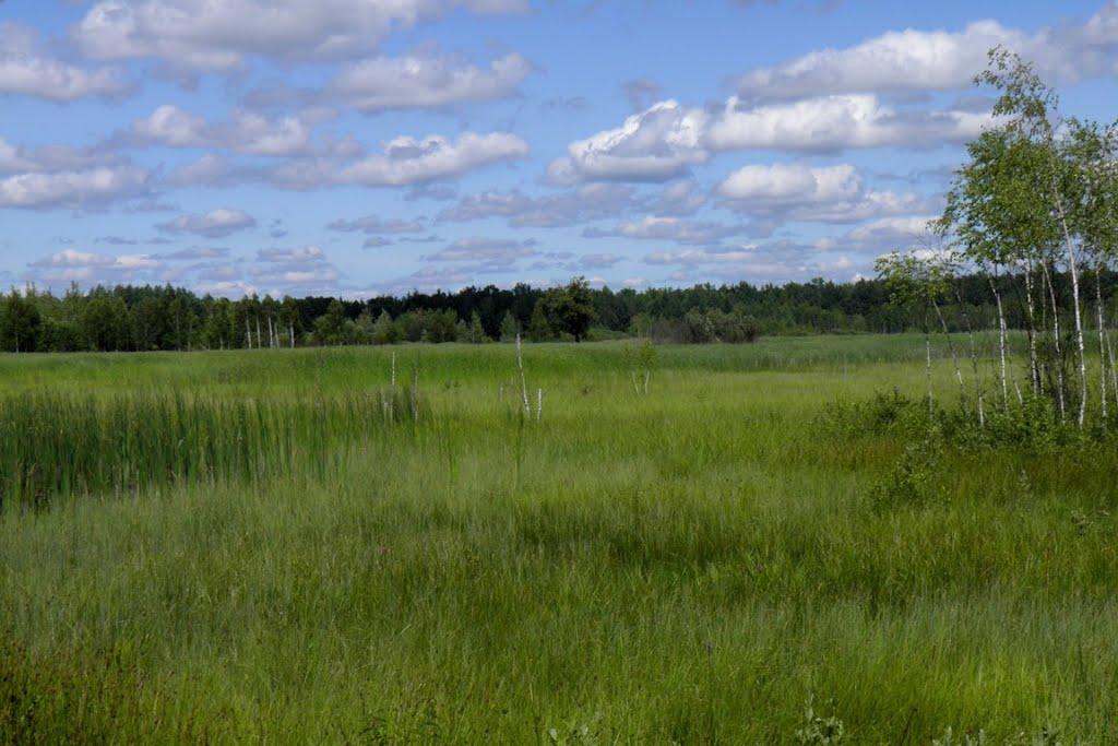 Маневичі з panoramio.com - Маневичі