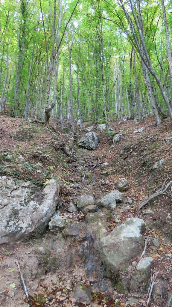 Соколине з panoramio.com (ч.2) - Соколиное
