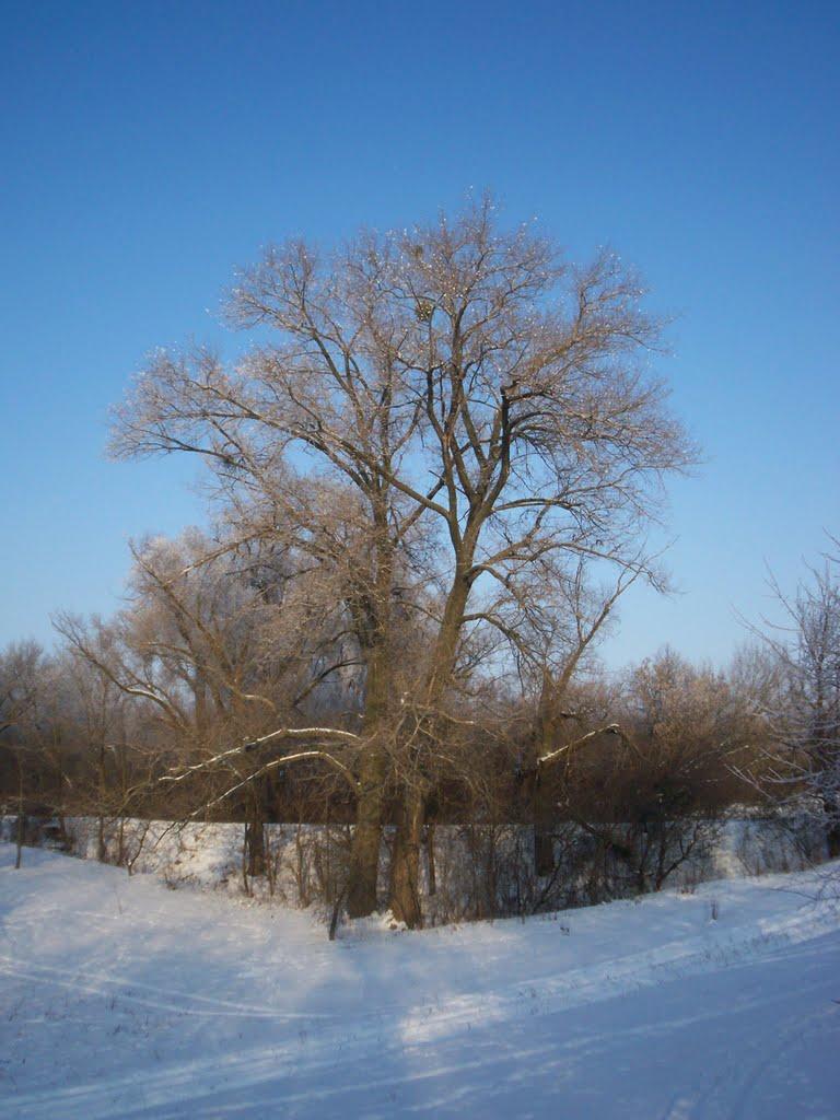 Жовтневий Промінь з panoramio.com - Жовтневий Промінь