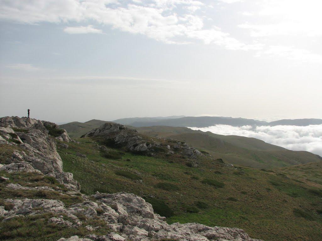 Розовий з panoramio.com (ч.2) - Розовый