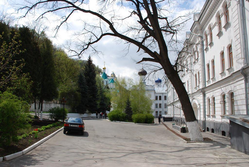 Тетянівка з panoramio.com (ч.2) - Тетянівка