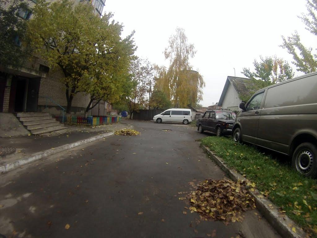 Новоград-Волинський з panoramio.com (ч.3) - Новоград-Волинський