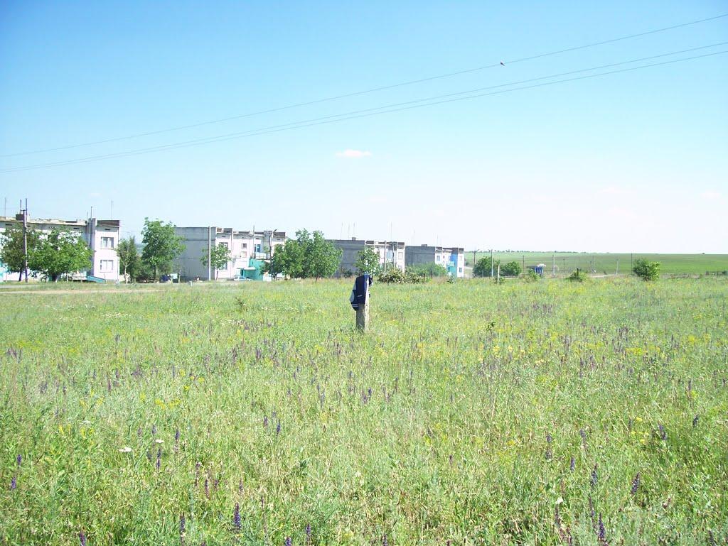 Костичі з panoramio.com - Костичі