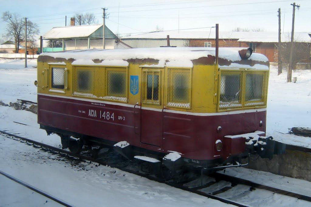 Верба з panoramio.com - Верба