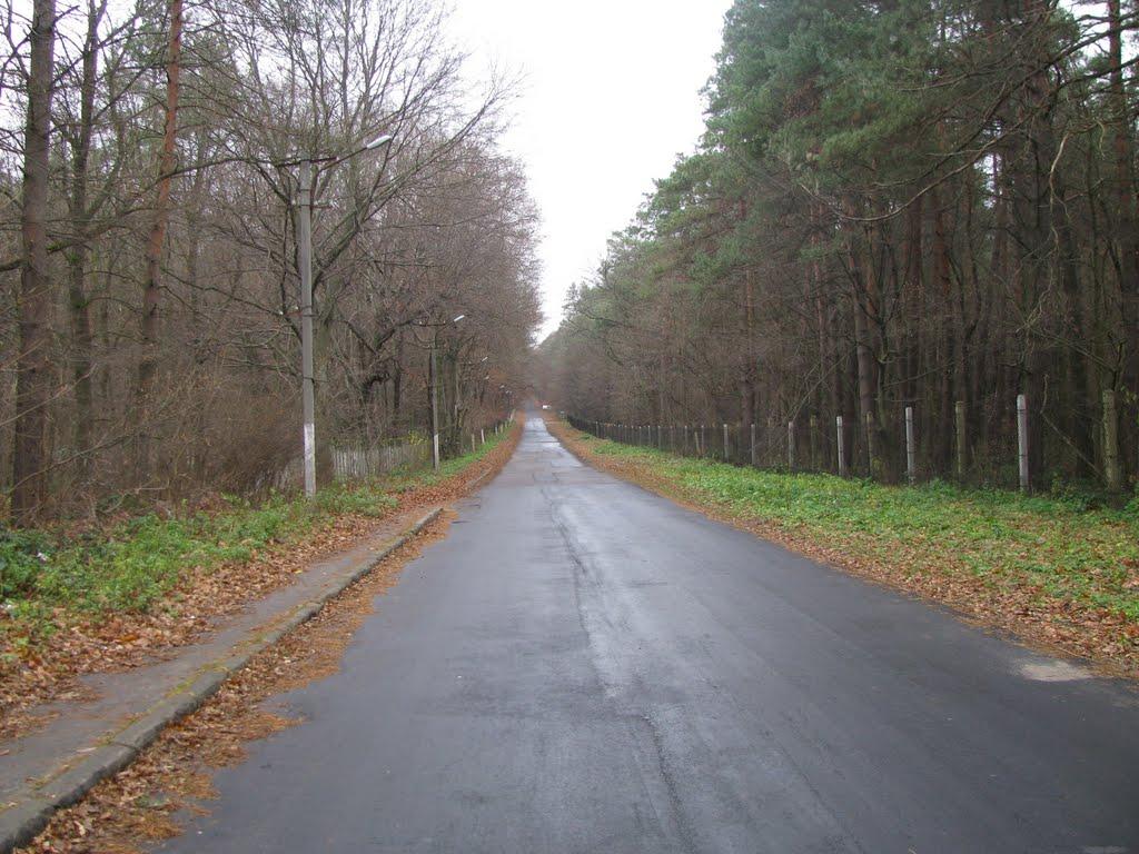 Брюховичі з panoramio.com - Брюховичі