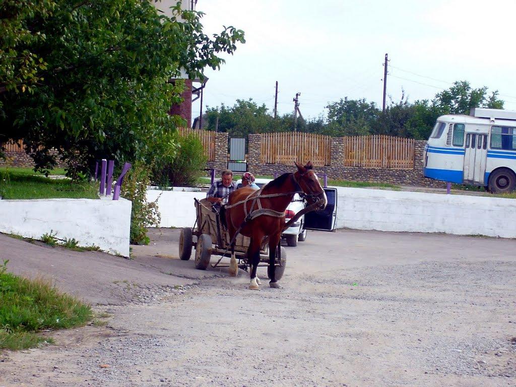 Чортків з panoramio.com - Чортків