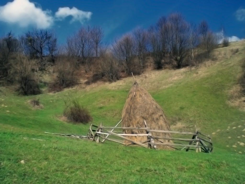 Росош з panoramio.com - Росош